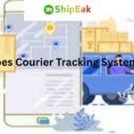 How Does Courier, Parcel, and Package Tracking System Works
