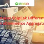 What Makes ShipEak Different From an eCommerce Aggregator