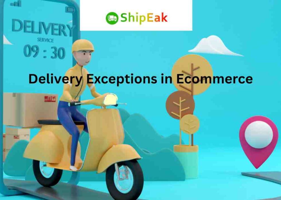 Delivery Exceptions in Ecommerce
