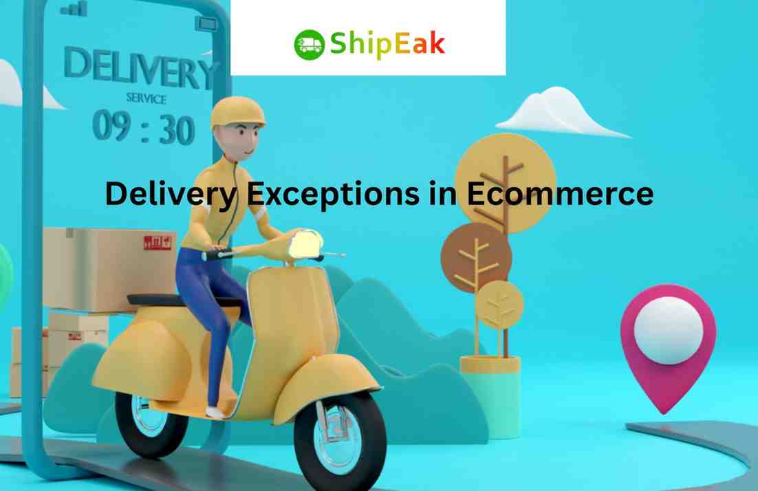 Delivery Exceptions in Ecommerce