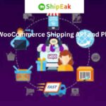 WooCommerce Shipping API and Plugins