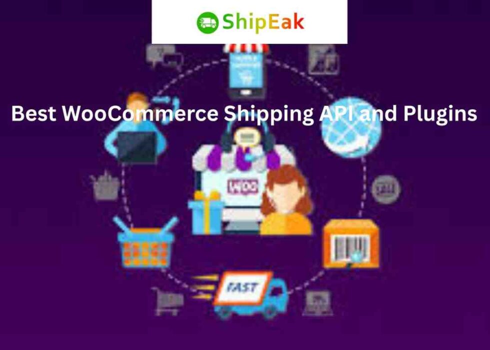 WooCommerce Shipping API and Plugins