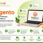 What is Magento